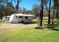 Mt Barker Caravan Park and Cabin Accomodation - MyDriveHoliday